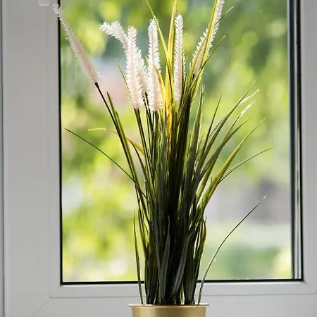 Heart Of The 2 アパート *